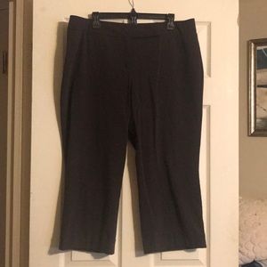 New York and Company Chocolate Brown Capri slacks